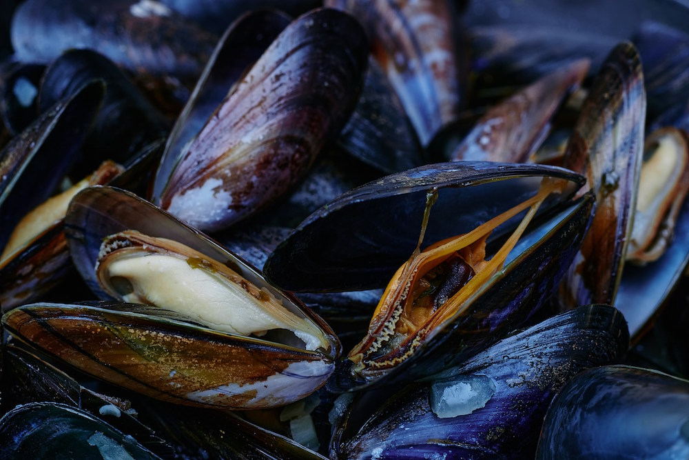 Patate riso e cozze o riso patate e cozze? Ecco il piatto tipico barese